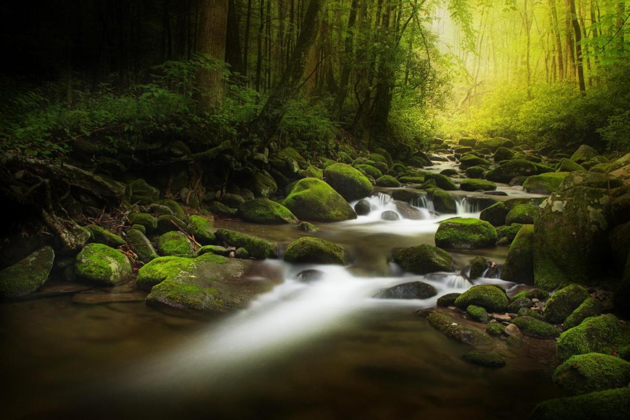 Casa vacanze Bear Cove Falls