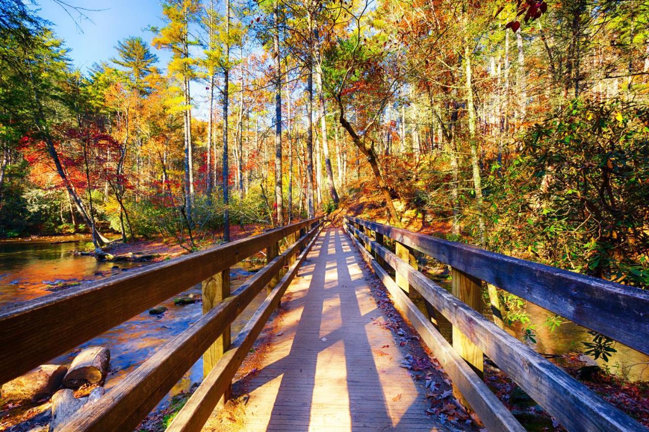 Casa vacanze Bear Cove Falls Pigeon Forge
